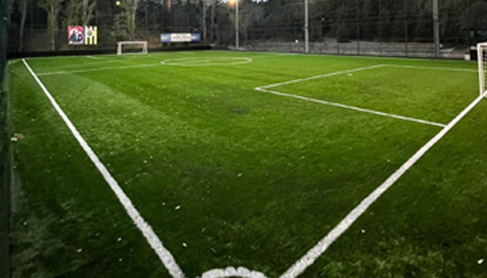 Mesa Koru Halı Saha 2