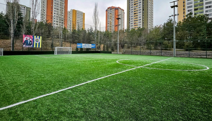 Mesa Koru Halı Saha 3